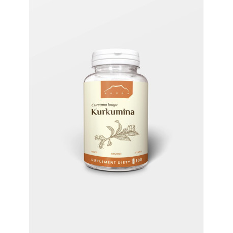 Kurkumin s extraktem z piperinu 100 kapslí x 500 mg - 100