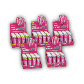 4x CarniShot 3000 20x60ml + 1x ZDARMA - mojito