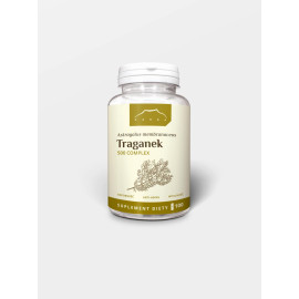 Astragalus 500 Komplex 100 kapslí - 100