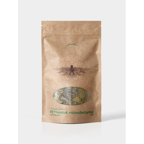 Vícebarevná houba Phregnum – 50 g nakrájená