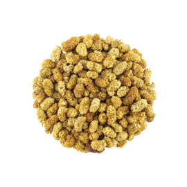 Sušená moruše - 7,5 kg