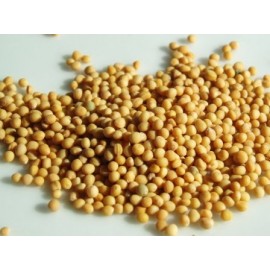 Hořčičné semínko bílé - Sinapis alba - 1kg celé