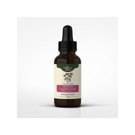 Tinktura Echinacea angustifolia 1:1 50 ml - 50 ml