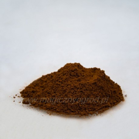 Čaga - Inonotus obliquus - 100g mletá