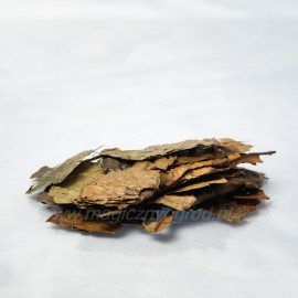 Ilex guayusa list - 250g celý