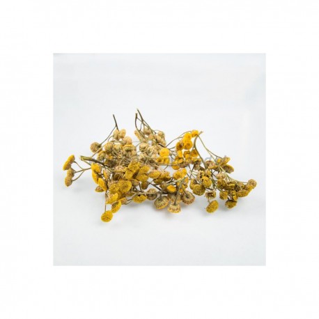 Tanacethum vulgare - 250g