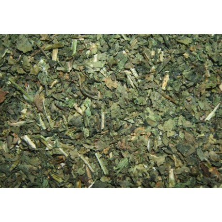 Isatis tinctoria - Isatis tinctoria - 250g nasekané