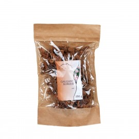 Kořen galgantu - Alpinia galanga - 250g celý