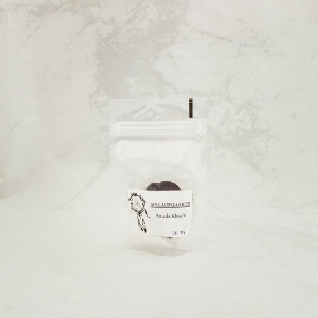 Africká bylina snů - Entada rheedii - 16-20g semen