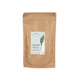 Andrographis paniculata - Andrographis paniculata - 250g mletá