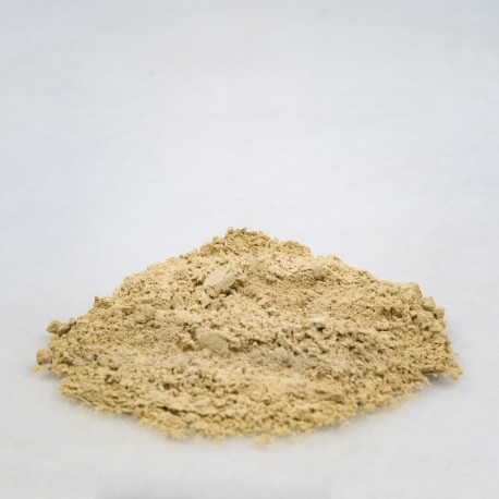 Kořen anděliky - Angelica archangelica - 250g nasekané