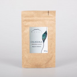 Oddenek Calaguala - Phlebodium aureum - 50g mletý