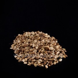 Semena anděliky - Angelica archangelica - 50g celá