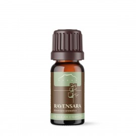 Ravensara aromatica oil - 100% esenciální olej - 10ml - Ravensara aromatica