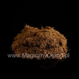 Kukuřičná stébla - Stigma maydis - 100g