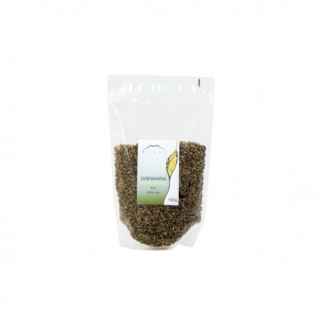 Divizna obecná - Verbascum thapsiforme - 100g