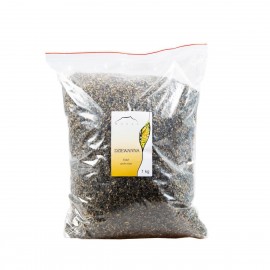 Divizna obecná - Verbascum thapsiforme - 5kg