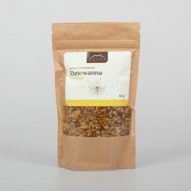Divizna drobnokvětá - Verbascum thapsus - 50g