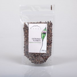 Ostropestřec mariánský - Silybum marianum - 250g celých