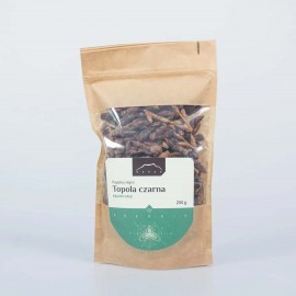 Topol černý - Populus nigra - 250g pupenů
