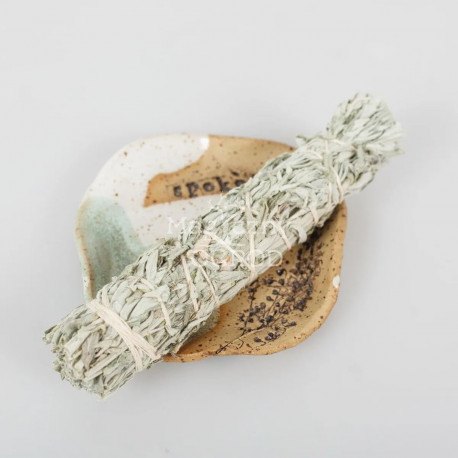 Pelyněk Bundle střední - Artemisia ludoviciana