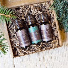 Forest Assembly - 100% esenciální oleje - 3x10ml