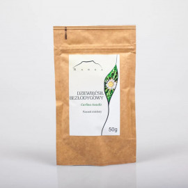 Zlatovlasý kořen bez bylin - Carlina acaulis - 50g mletý