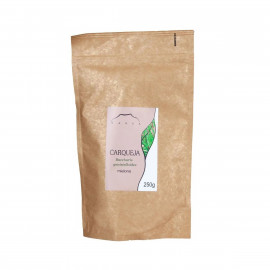 Carqueja - Baccharis genistelloides - 250g mletého