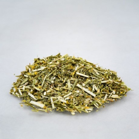 Kostival lékařský - Melilotus officinalis - 100g sekaný