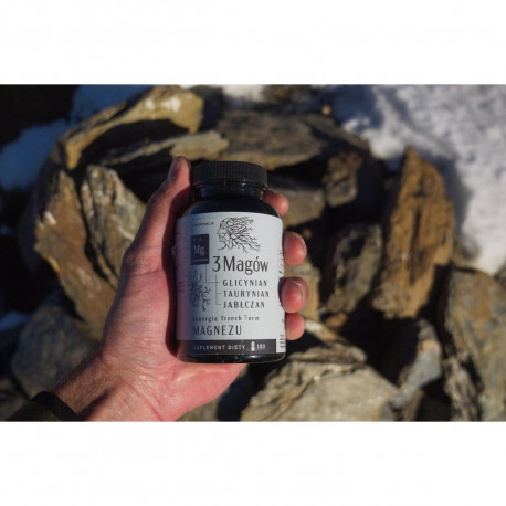 3 Magi - 100 ve skle