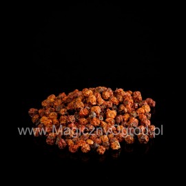Jeřáb ptačí - Sorbus aucuparia - 50g celých