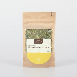 Měsíček lesklý - Tagetes lucida - 25 g řez