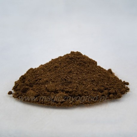 Indická kopřiva - Coleus forskohlii - 250g sekané