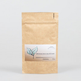 Usnea - vousy - 50g broušené