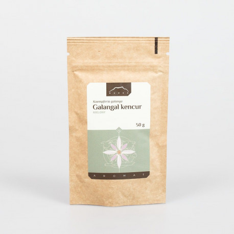Galangal kencur – 50 g mleté