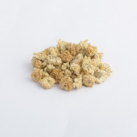Heřmánek - Heřmánek - Chamaemelum nobile - 50g