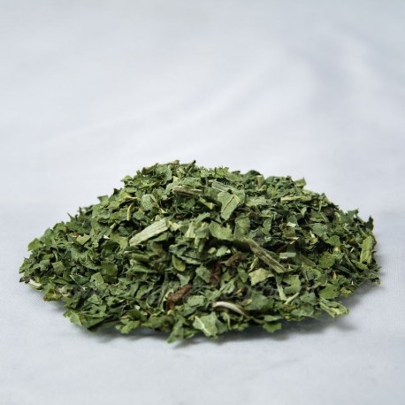 Štětec na lesní listí Polsko - Dipsacus sylvestris - 100g mletý