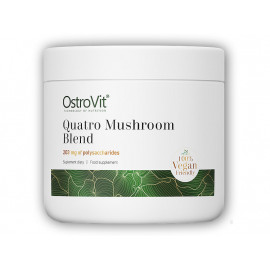 Quatro houbová směs 50g