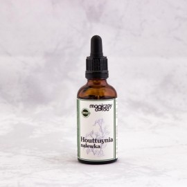 Houttuynia cordata tinktura 1:1 50 ml - 50ml
