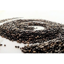 Chia semínka - Salvia hispanica - 1kg celá