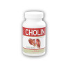 Cholin 100 kapslí